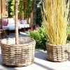 Cache-pot bas pour grandes plantes, en rotin (lot de 2)