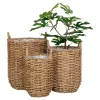 Cache-pot en jonc de mer avec anses (lot de 3)