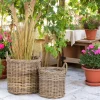 Cache-pot haut pour plantes ou graminées (lot de 2)