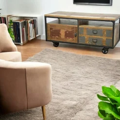 Meuble TV à roulettes 1 porte, 2 tiroirs, 2 niches en Hévéa recyclé coloré et métal 120x50x60cm LOFT COLORS