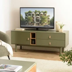 Meuble TV 2 tiroirs 1 porte bois vert nature GUILIN