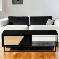 Table basse 1 tiroir 1 niche bois noir et blanc ANINA