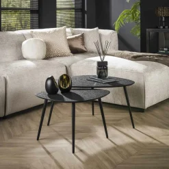 Table basse design organique grise (2 pièces) RALF