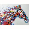 Tableau de cheval multicolore